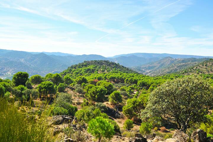 Sierra de Andújar