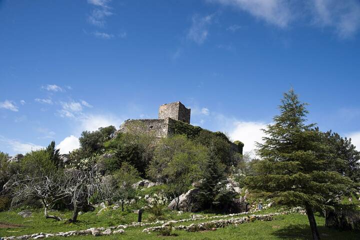 Castillo del Aguila Gaucín